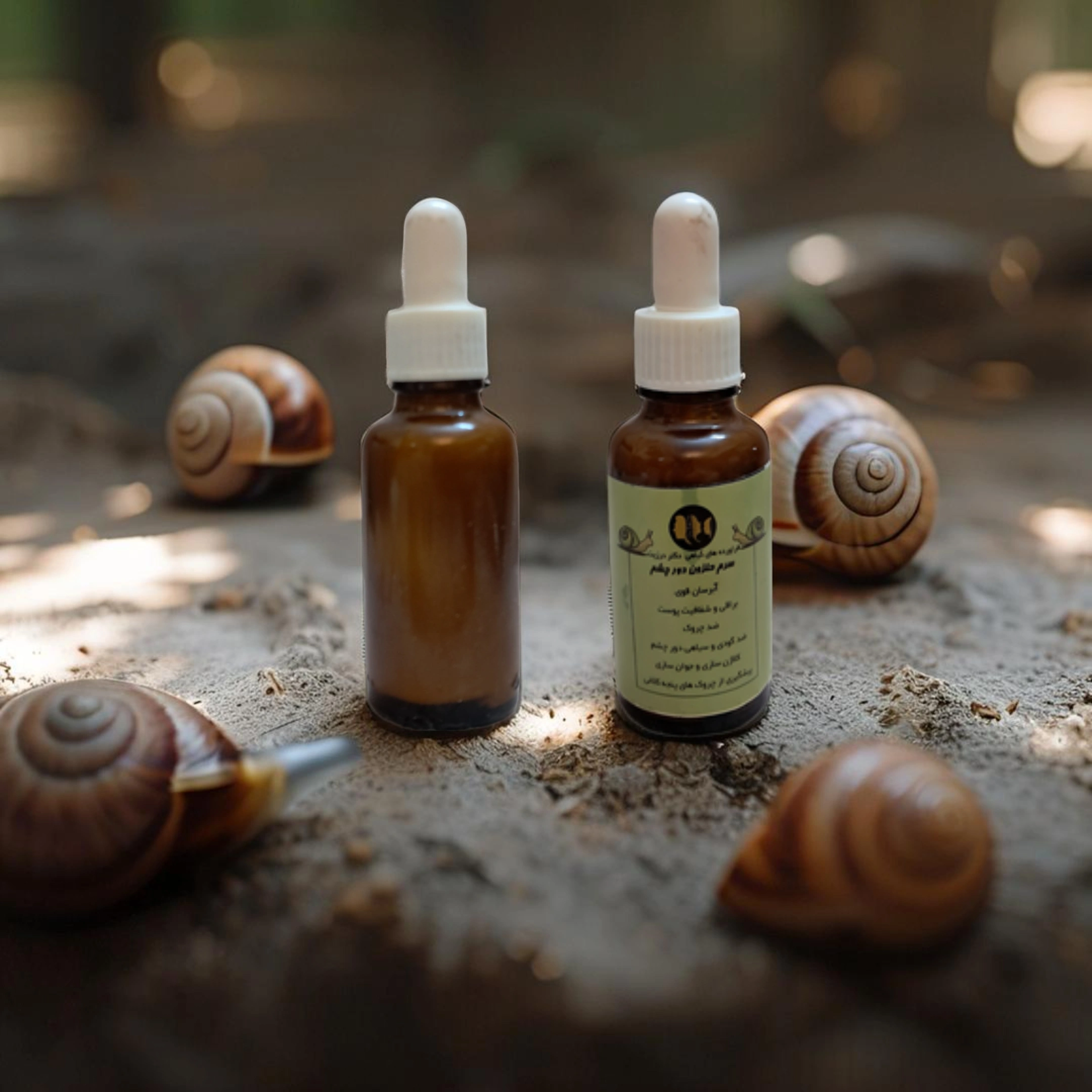 image_Pippit_202505021531 - 2025-05-02T165555.809.webp